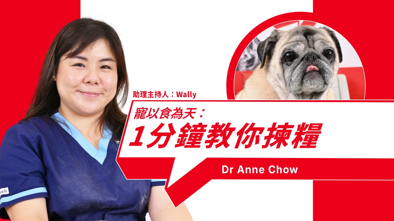 3 Key Factors for Choosing the Right Food for Your Pet! 